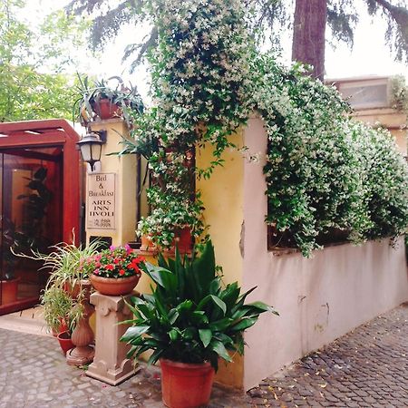 티볼리 Fermati Che E Tardi B&B 외부 사진